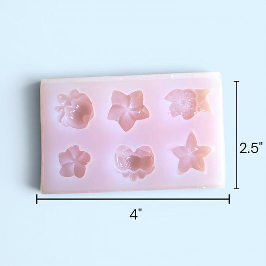 Hibiscus & Plumeria silicone mold